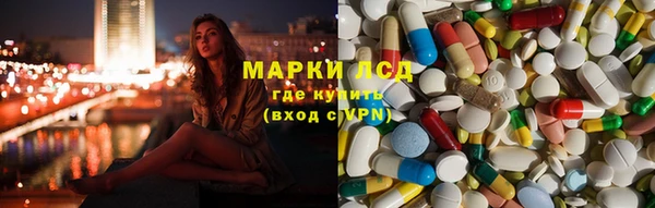 стафф Сосновоборск