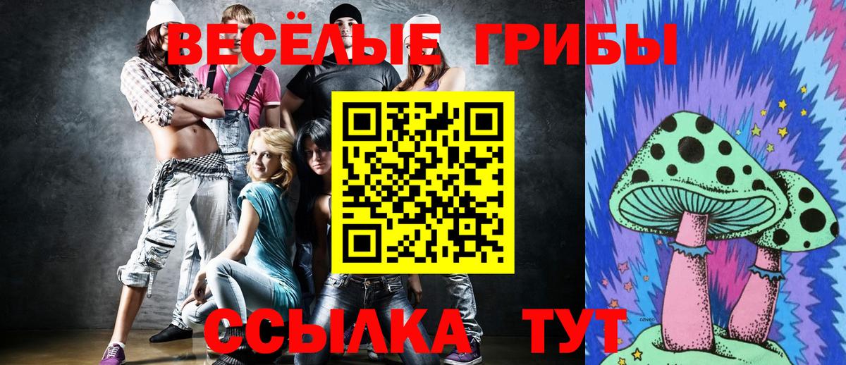 Галлюциногенные грибы Cubensis Белгород