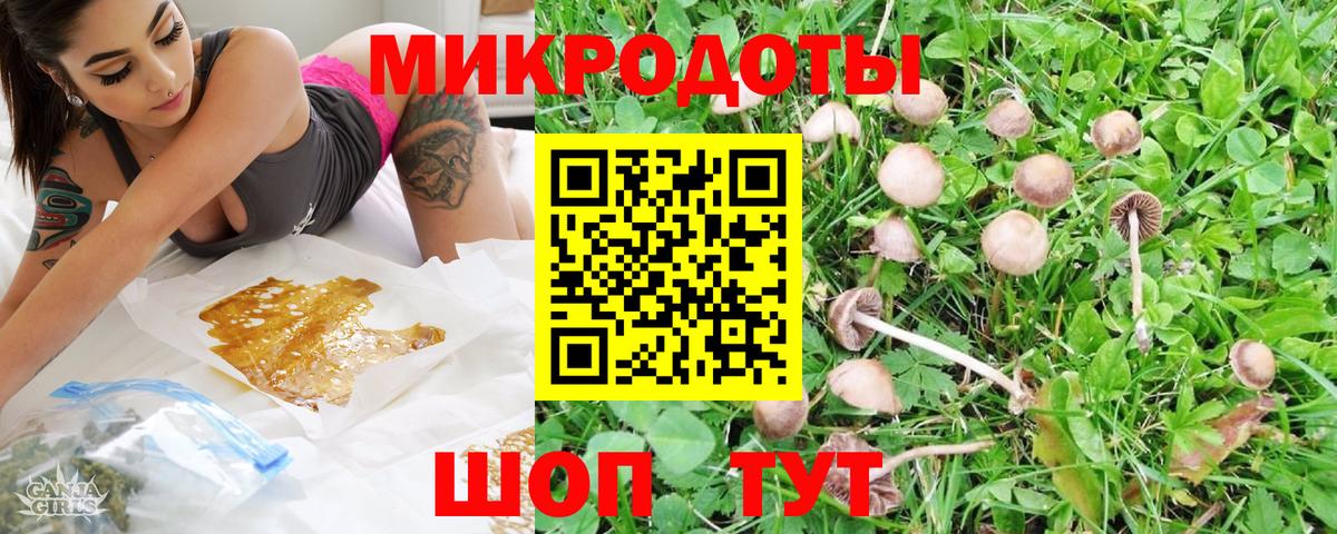 Псилоцибиновые грибы мицелий Белгород