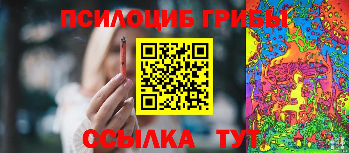 Псилоцибиновые грибы Psilocybe  цены наркотик  Белгород  Вход с VPN  Псилоцибиновые грибы Magic Shrooms 