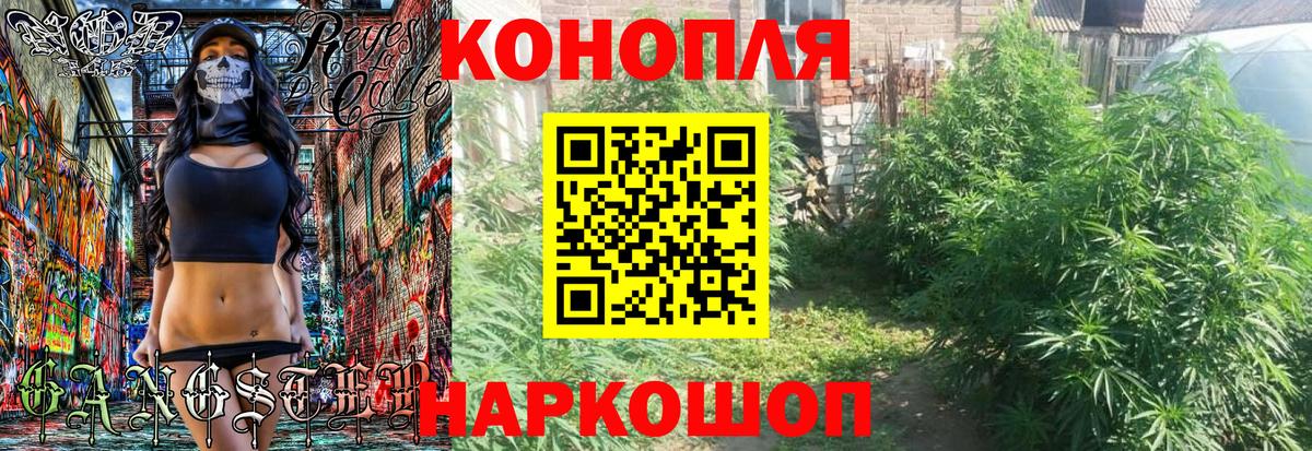 Канабис индика  Каннабис OG Kush  Белгород  Шишки марихуана индика 